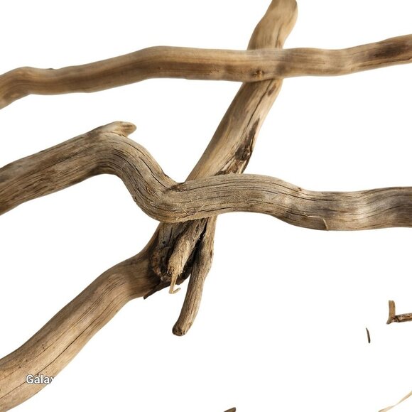 Natural Driftwood Pieces For Crafting & Home Decor 5 pieces - Picture 5 of 11